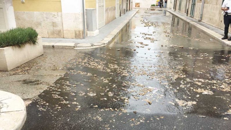 Bari si allaga, escrementi in strada - FOTO