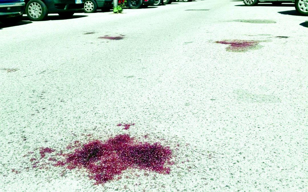Potenza, riduzione di pena per l’omicida di via dell’Edera