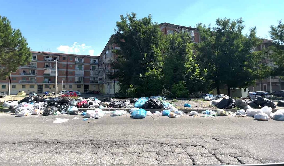 Rifiuti in strada a Cosenza