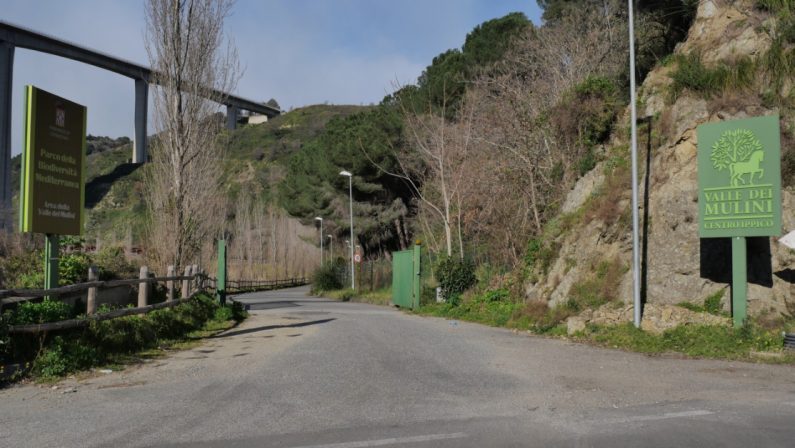 Aggressione alla “Valle dei mulini”, ore di apprensione per la sorte dei due feriti