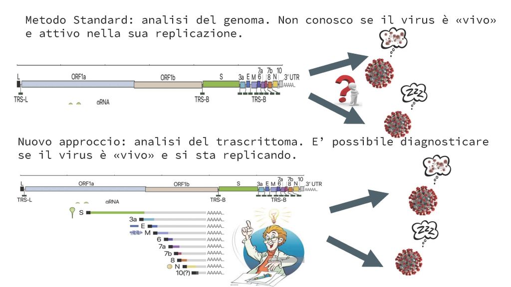 Covid, è possibile individuare il grado di infettività dei positivi
