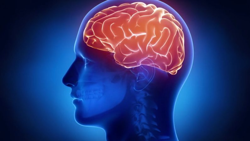 Humanitas, così il cervello si protegge dalle infiammazioni intestinali