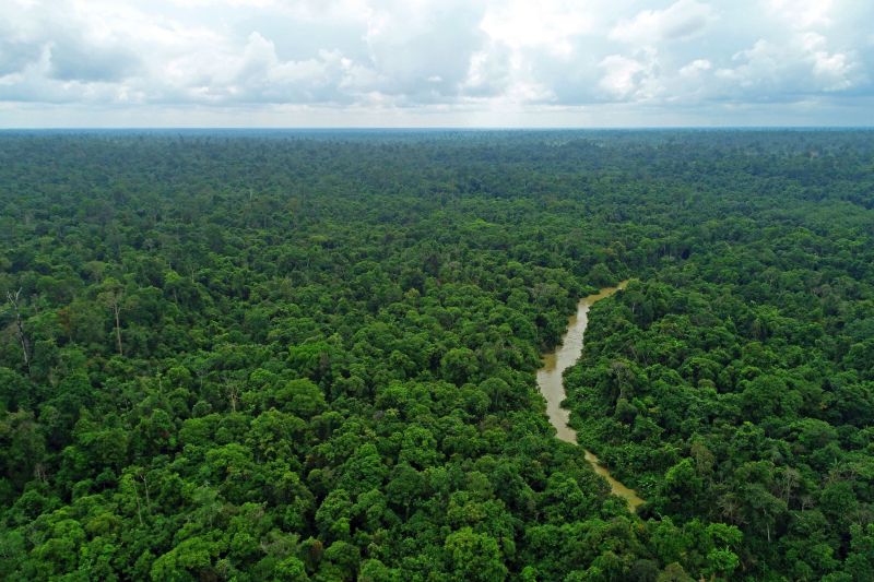 Pirelli e Bmw con Birdlife International per tutelare l’ecosistema in Indonesia