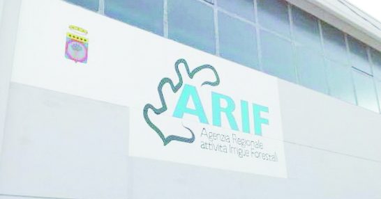 «Arif, più impiegati che operai» L’Agenzia pugliese sotto accusa: 30 milioni per il personale, 500mila per l’attrezzatura