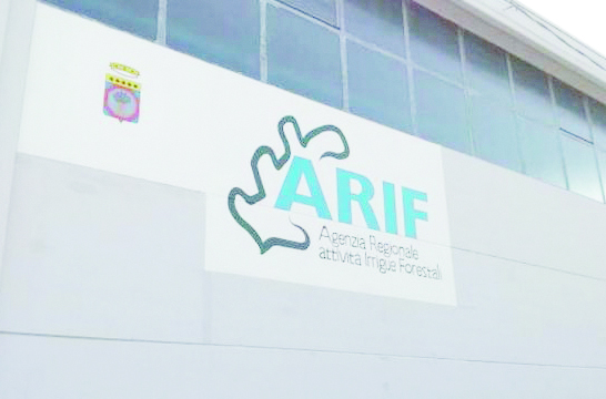 La sede Arif