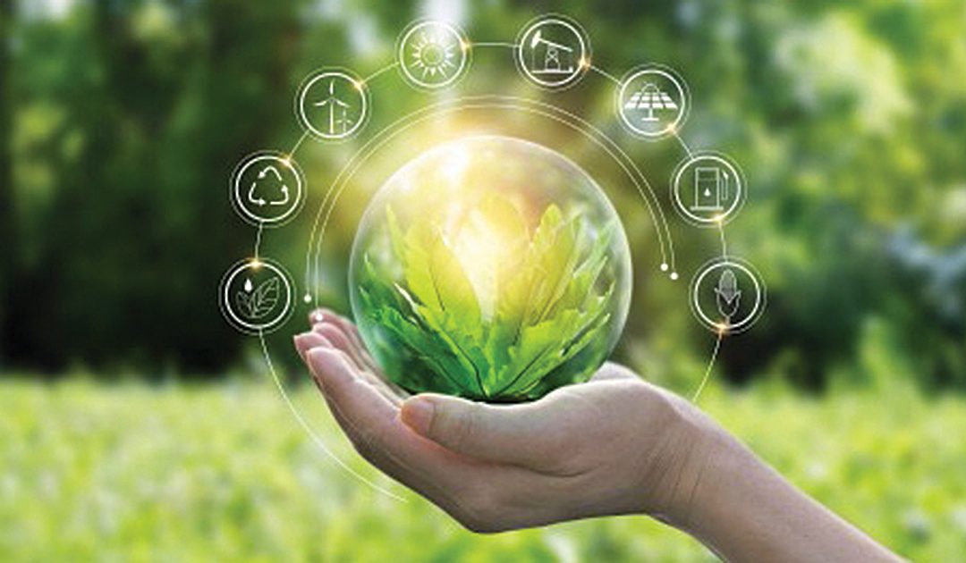 Investimenti aziendali nel green Mezzogiorno campione d’Italia