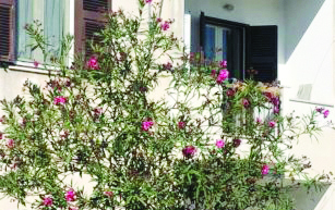 L’abitazione in cui è stata uccisa Giuseppe Loredana Dinoi