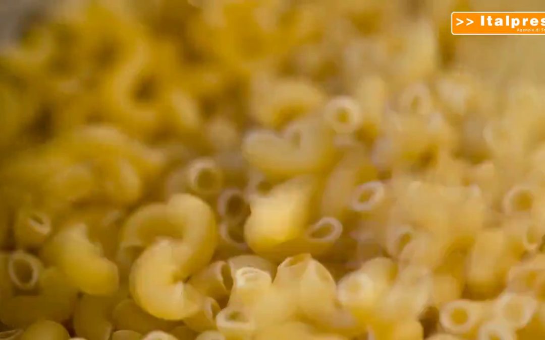 World Pasta Day, italiano 60% del grano duro utilizzato