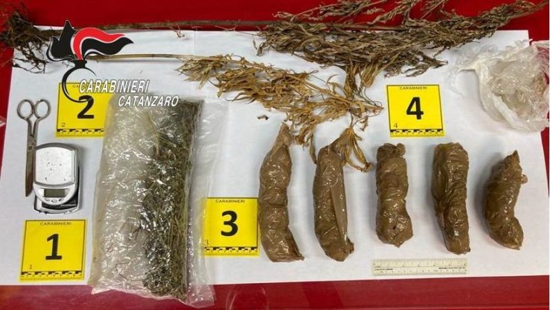 Droga: la marijuana tenuta sul tavolo e in credenza, arrestato nel Catanzarese