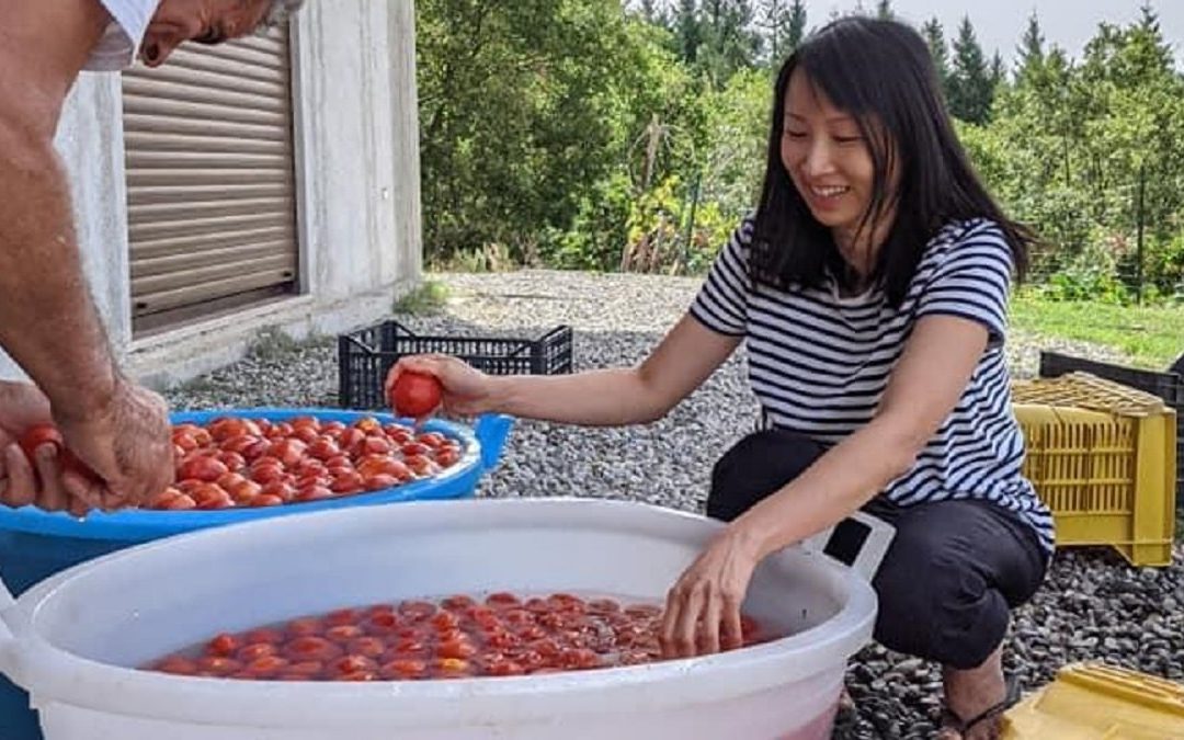 Denise alle prese con la preparazione dei pomodori