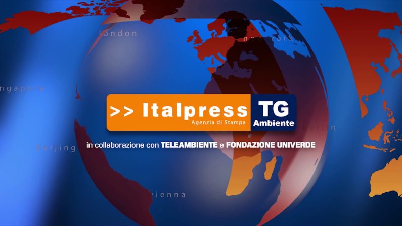 Tg Ambiente – 24/10/2021