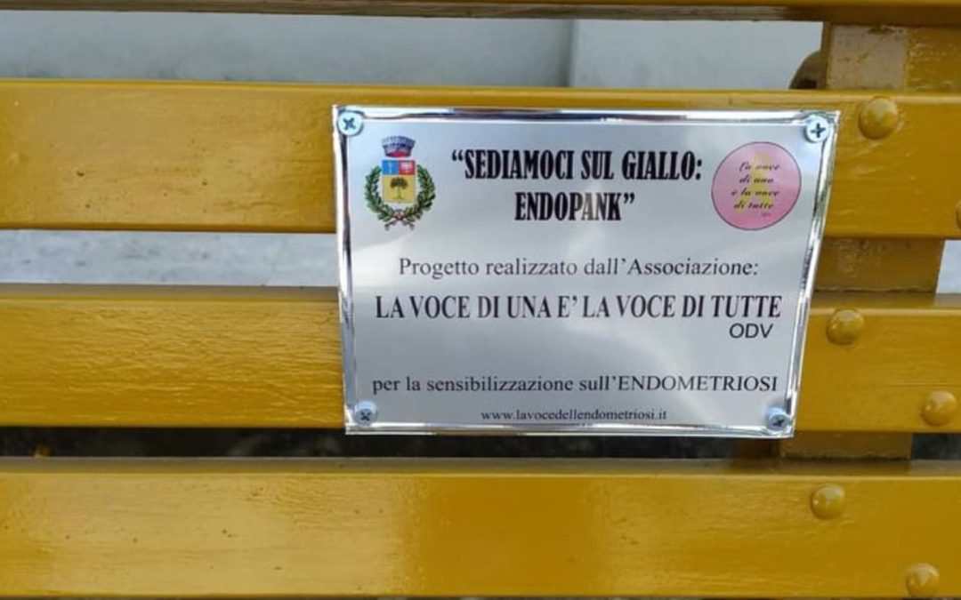 La panchina gialla posizionata a Dasà