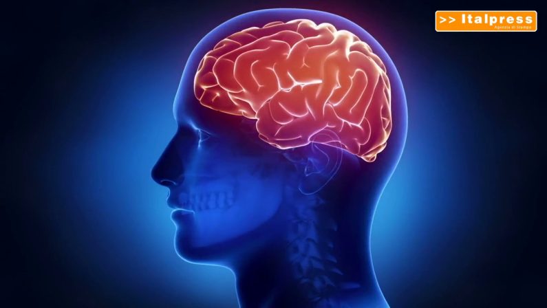 Scoperte, così il cervello si protegge dalle infiammazioni intestinali