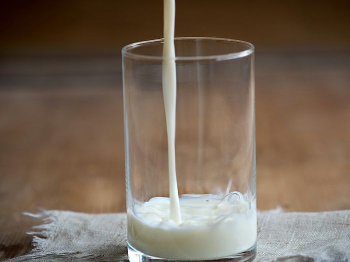 Latte, Patuanelli “Firmato accordo per sostegno a filiera”