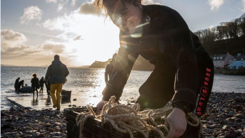 Intesa Sp, Wwf e Jovanotti insieme per difendere e tutelare la natura