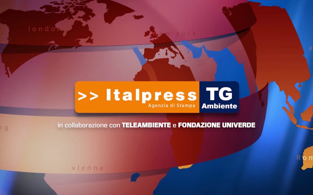 Tg Ambiente – 28/11/2021