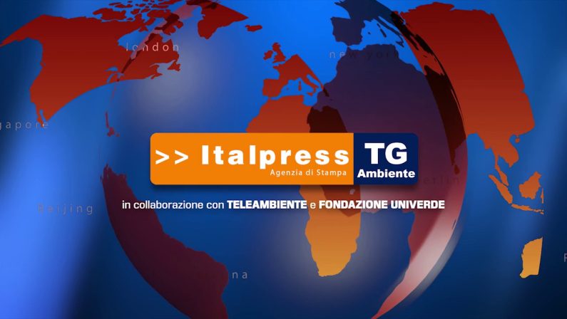 Tg Ambiente – 21/11/2021