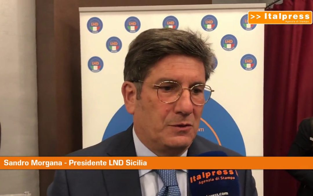 Lega dilettanti Sicilia, Morgana: “Sostegno Figc fondamentale”