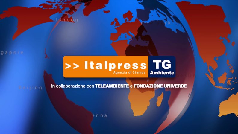 TG Ambiente – 14/11/2021