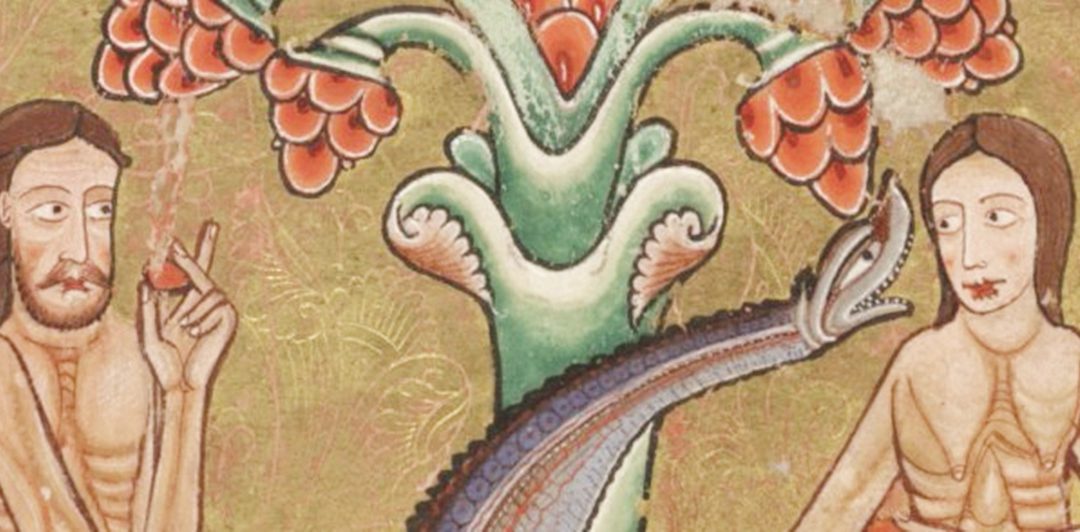 L’albero della conoscenza del bene e del male