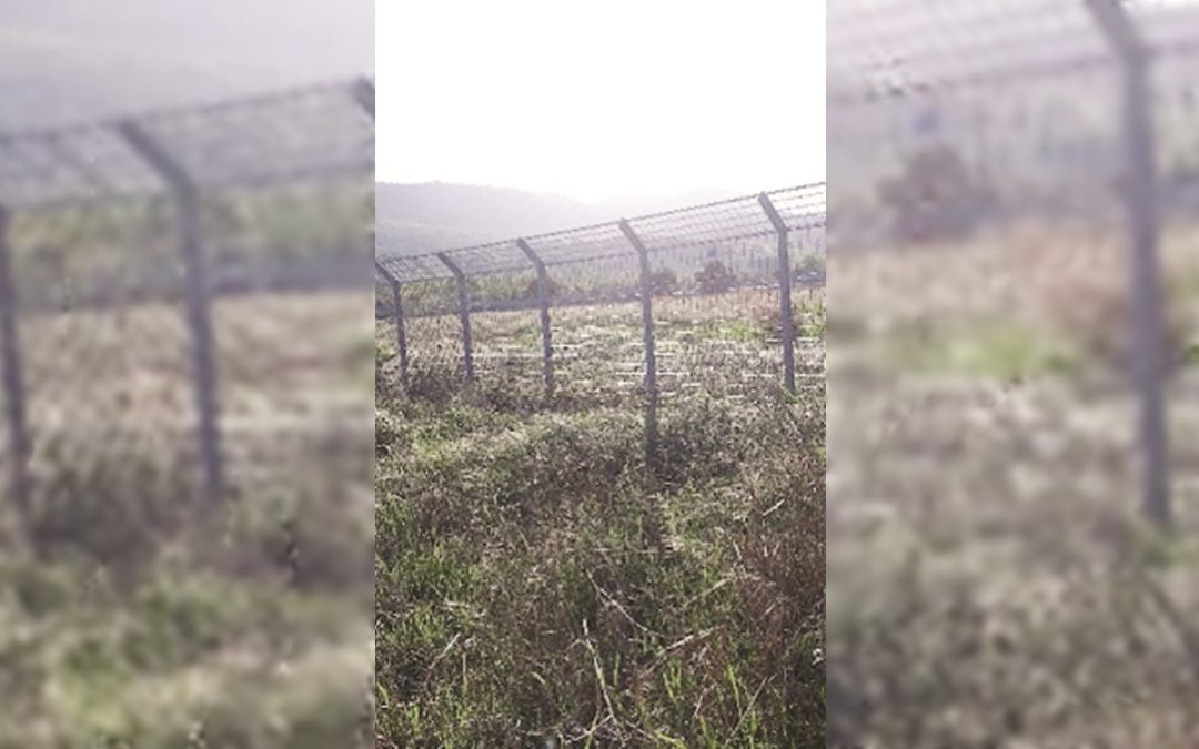 Il campo di Squillace abbandonato