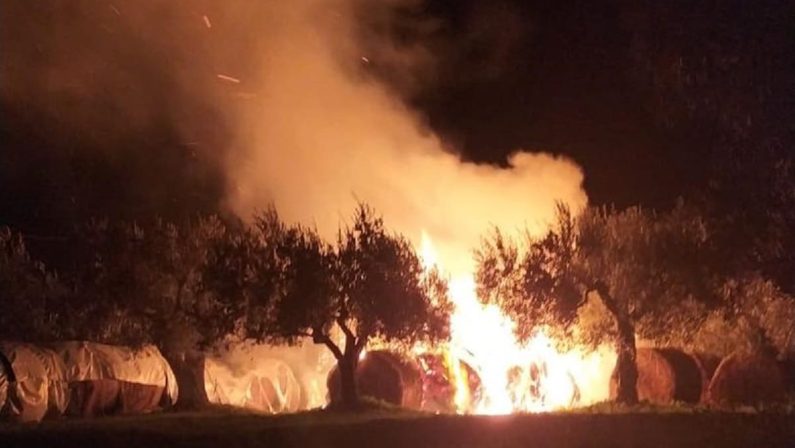 Azienda agricola del Cosentino per la seconda volta attaccata dalle fiamme