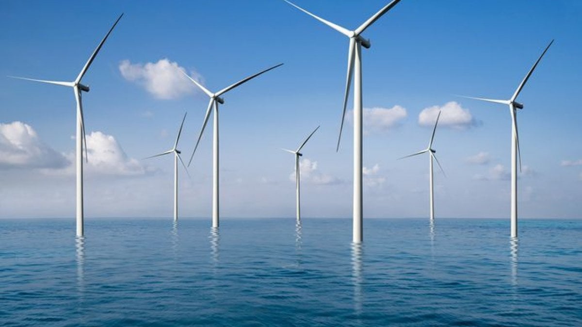 Un parco eolico nel mare di Catanzaro: costituita società "Minervia  Energia" per il progetto - Il Quotidiano del Sud
