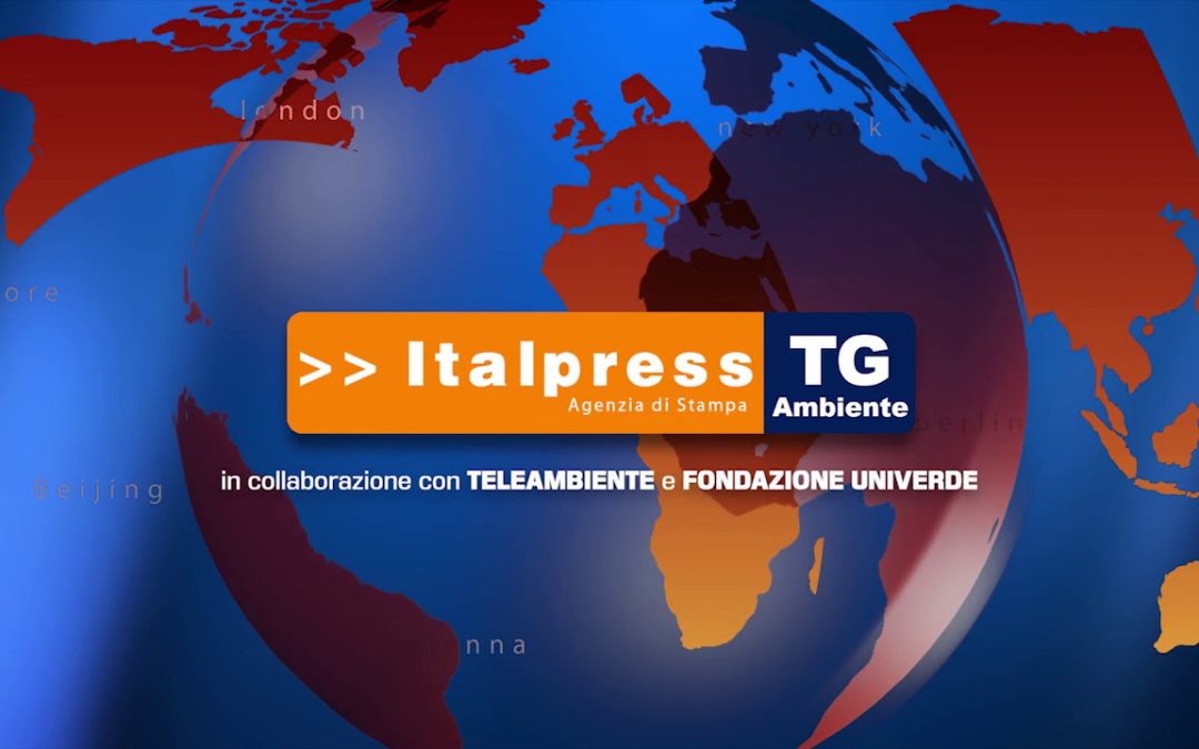 Tg Ambiente – 7/11/2021