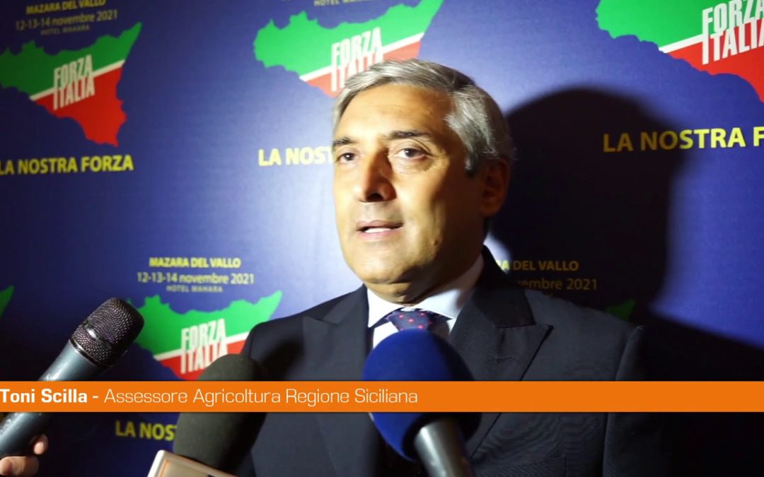 Centrodestra, Scilla: “Non esiste senza Forza Italia”