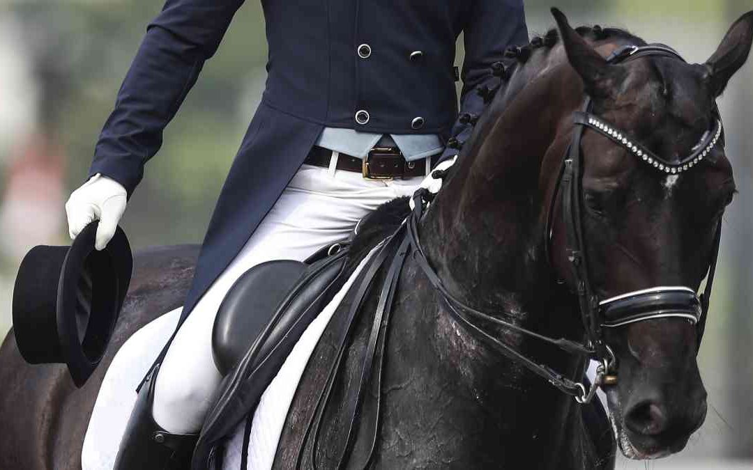 Sito/blog fra approfondimenti e testimonianze, nasce Dressage.it