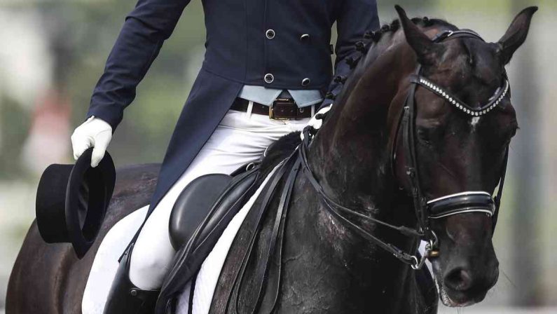 Sito/blog fra approfondimenti e testimonianze, nasce Dressage.it