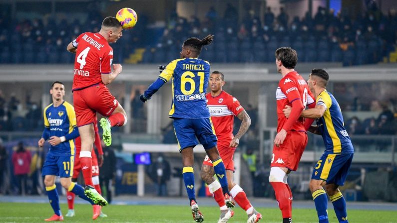 Lasagna e Castrovilli, Verona-Fiorentina 1-1