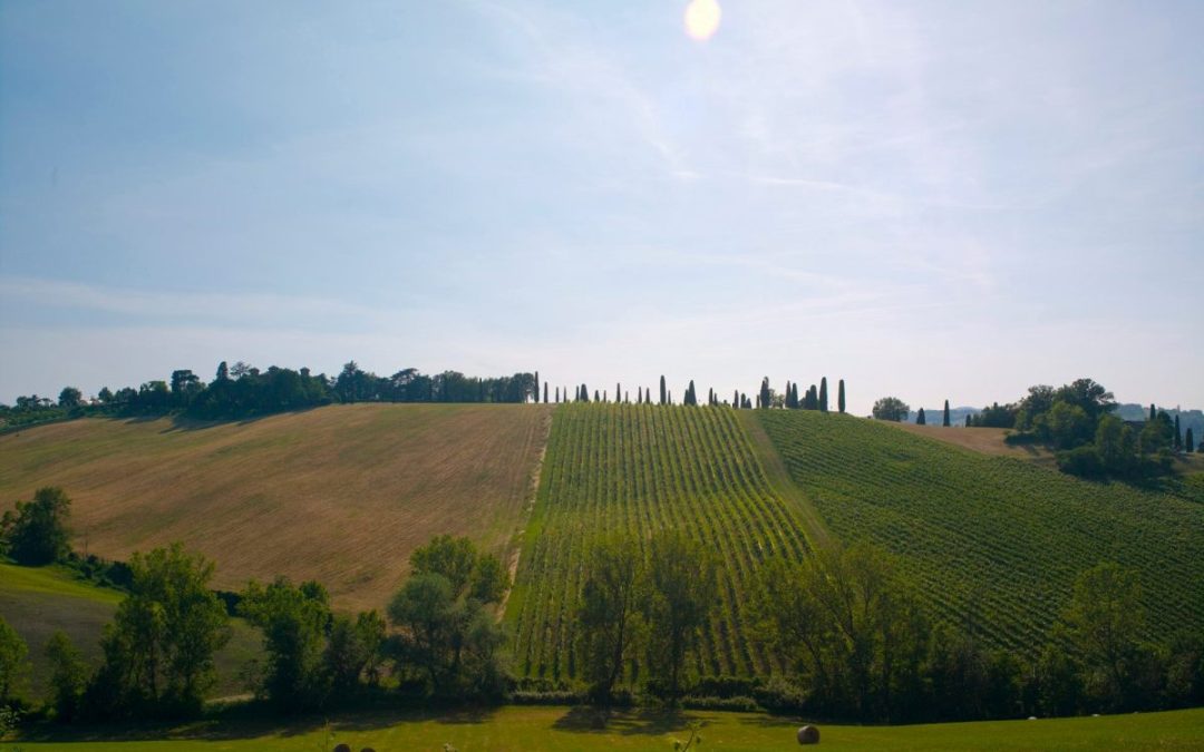 Agriturismo, strutture in aumento anche nel 2020