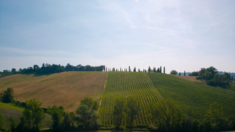 Agriturismo, strutture in aumento anche nel 2020
