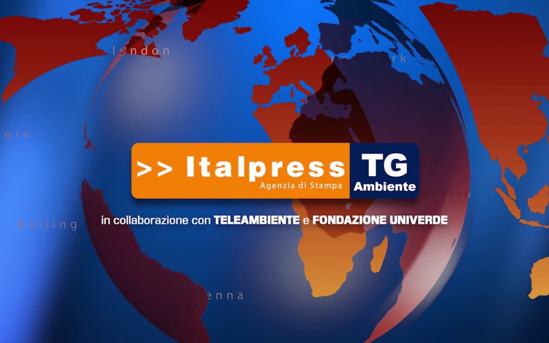Tg Ambiente – 12/12/2021