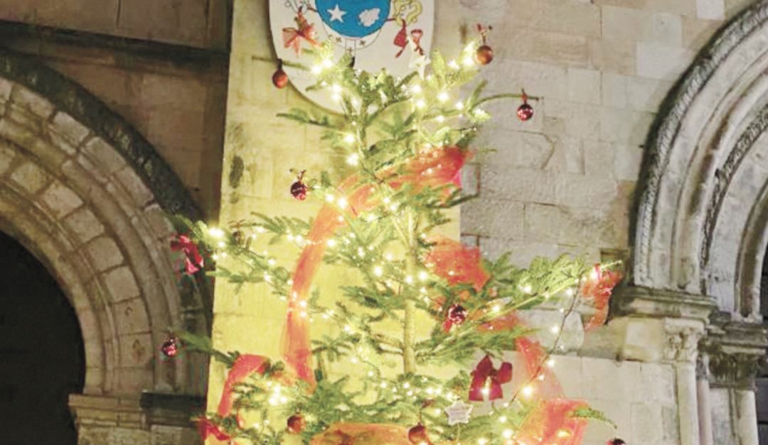L'albero di Natale davanti al Duomo