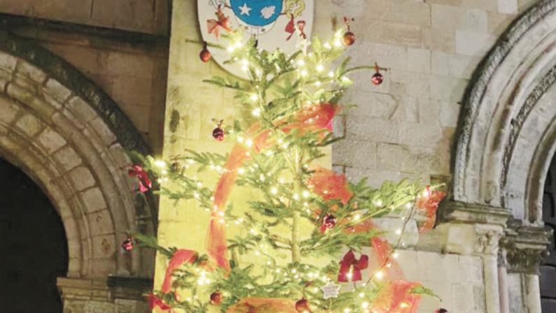 L'associazione Jole Santelli dona l'albero di Natale al centro storico di Cosenza