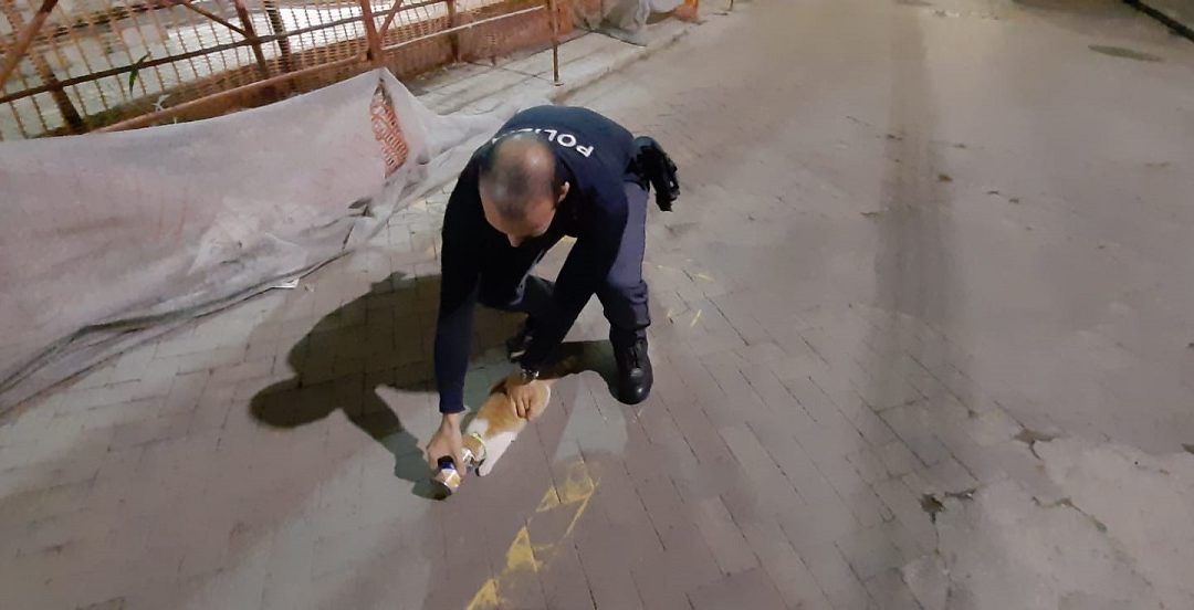 Il poliziotto che ha liberato il gatto