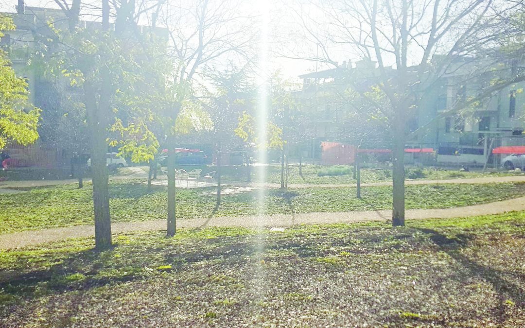 Il parco De Marinis ad Altamura
