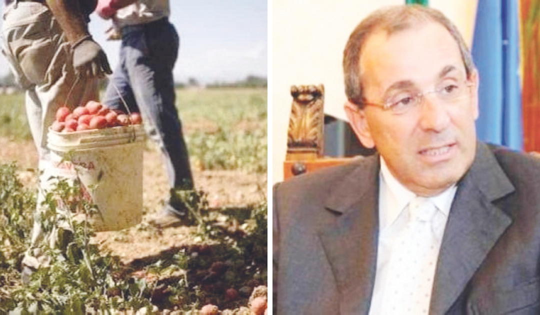 A sinistra braccianti sfruttati nei campi (foto di repertorio). A destra l’ex prefetto Michele di Bari  direttore del dipartimento Immigrazione dimessosi ieri dopo il coinvolgimento della moglie Rosalba Bisceglia nell’inchiesta della procura di Foggia.