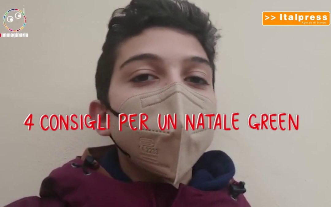 Quattro consigli per un Natale green