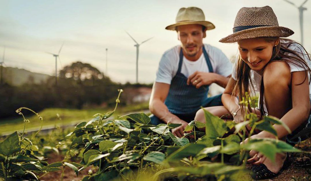 Transizione ecologica: i miti da sfatare sulle rinnovabili e le opportunità d Enel Green Power
