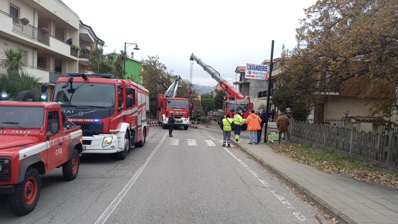 Albero d’alto fusto crolla in strada a Rende, coinvolta un’auto di passaggio: un ferito