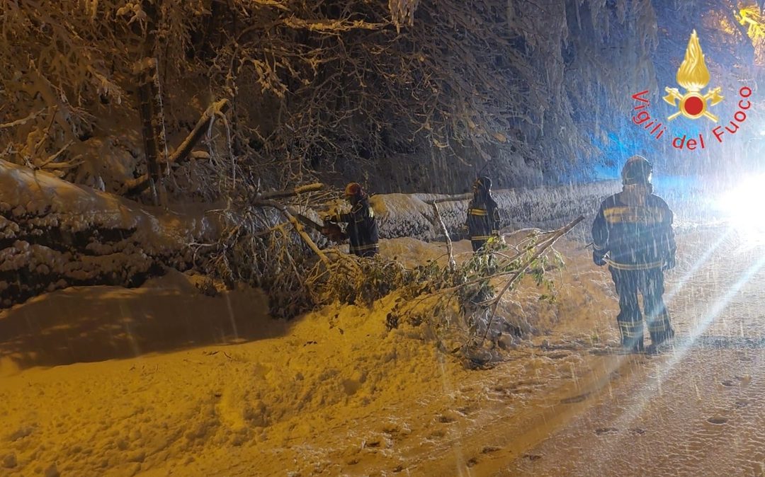 Neve abbondante nella Sila cosentina