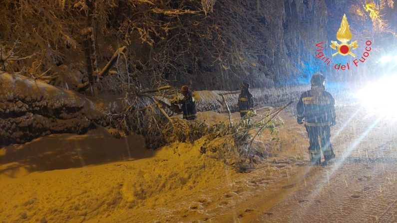 Abbondanti nevicate in Sila, oltre 30 centimetri sopra i 700 metri d’altezza