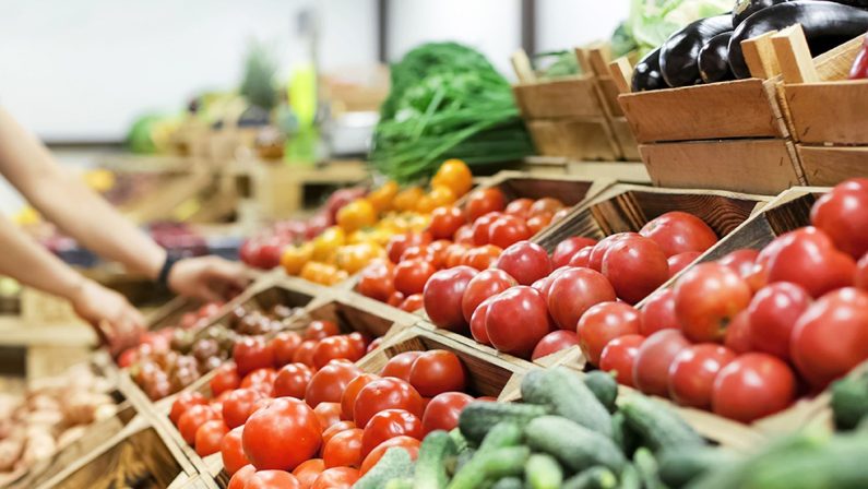 Allarme per frutta, fiori e ortaggi di Calabria, Coldiretti: «Patrimonio a rischio»