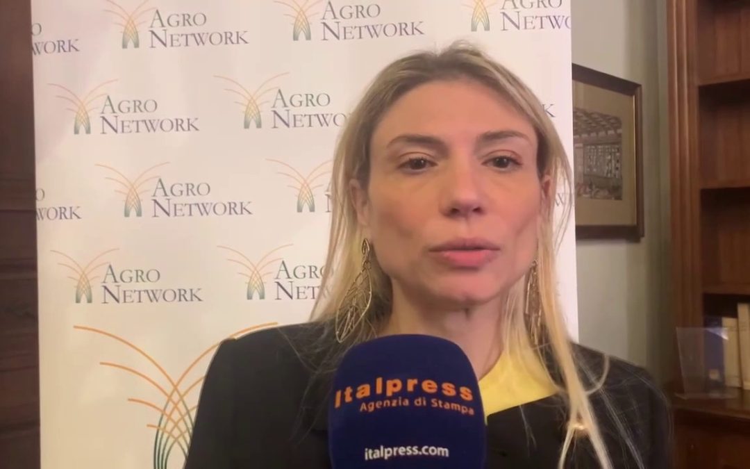 Agricoltura e industria alleate per la sostenibilità