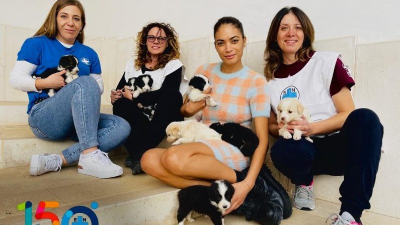 Ascoli Satriano, otto cuccioli abbandonati trovano casa grazie a Elodie