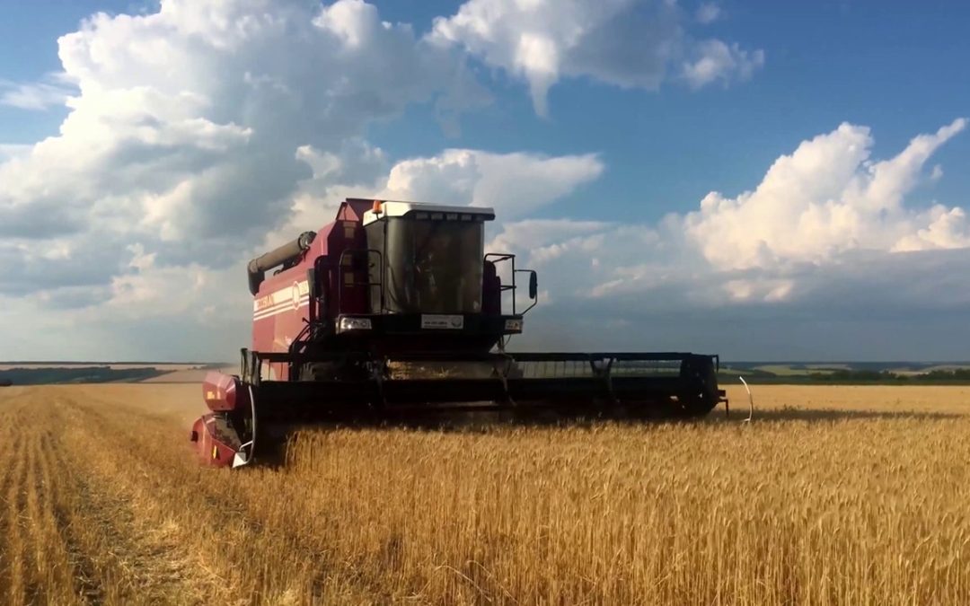 Manovra, 2 miliardi per l’agroalimentare