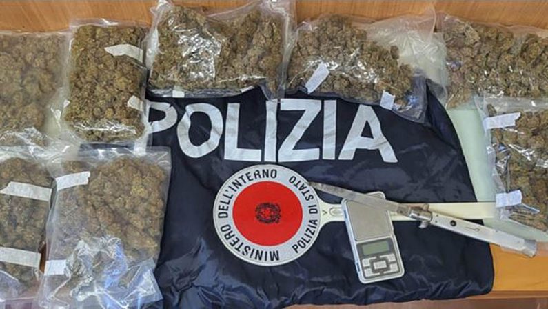 Droga, un arresto e due segnalazioni a Vibo Valentia